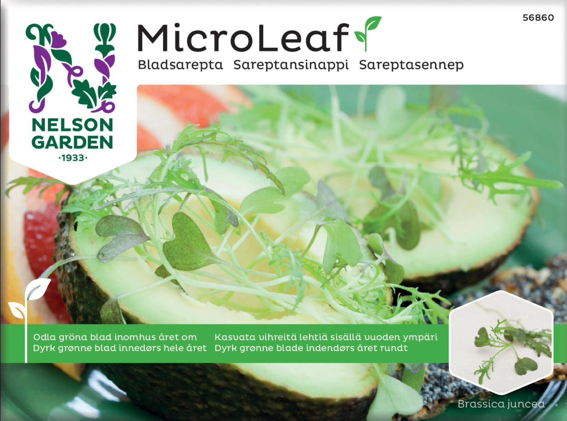 Micro Leaf, Sareptasennep