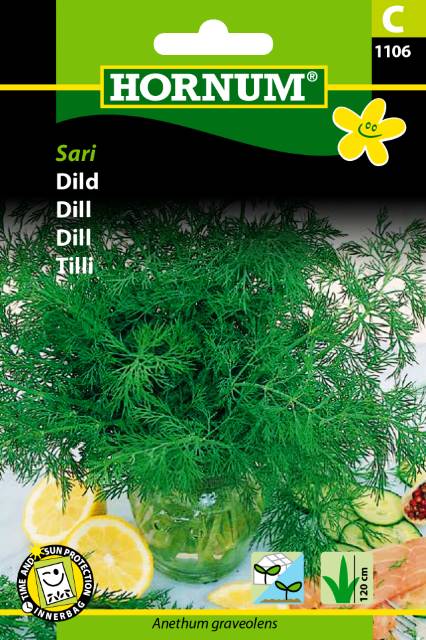 Dild Ella / Sari