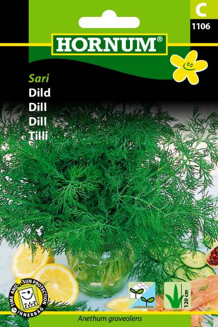 Dild Ella / Sari