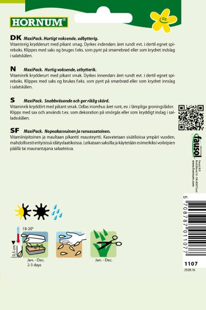 Karse Einfache grüne