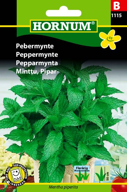 Pebermynte