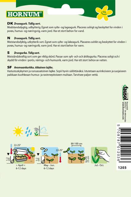 Agurk Drue Friland Vorgebirgstrauben