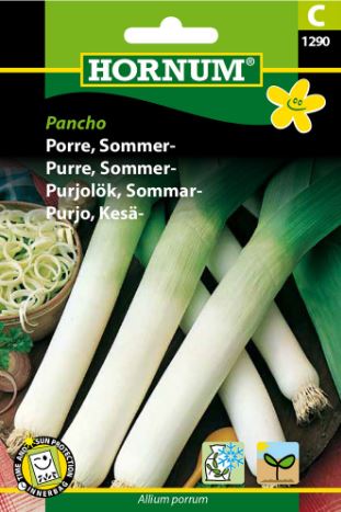 Porre Sommer Terminal Pancho