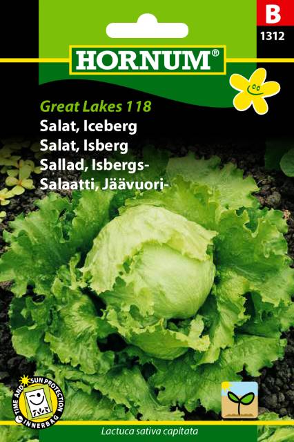 Salat Iceberg Great Lakes