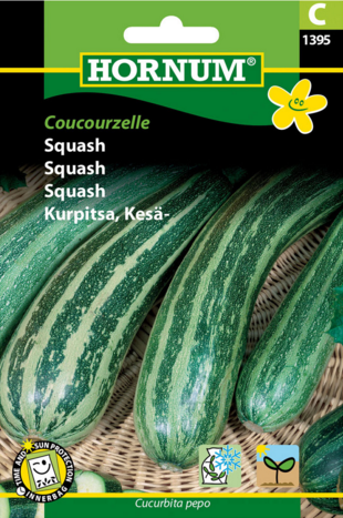 Squash Coucourzelle
