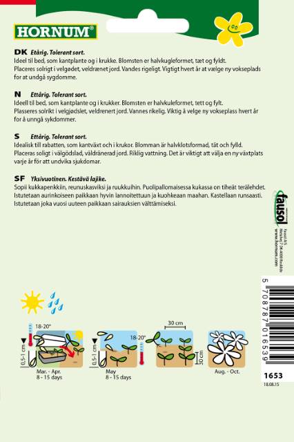 Asters Pompon blanding