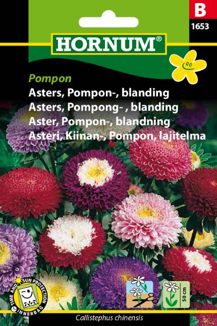 Asters Pompon blanding
