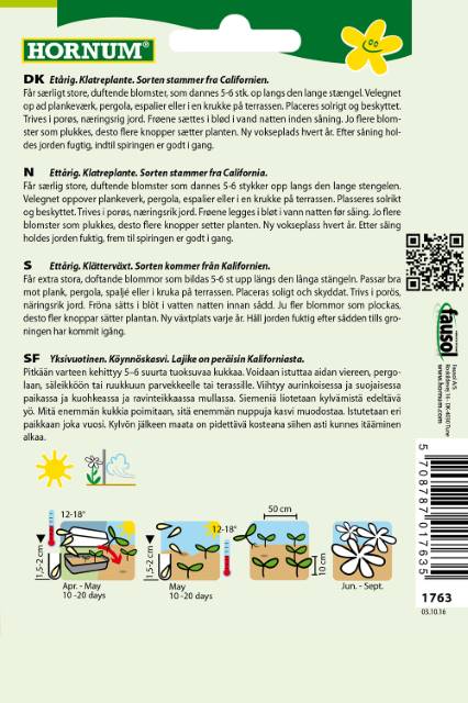 Ærteblomst blanding Splendor