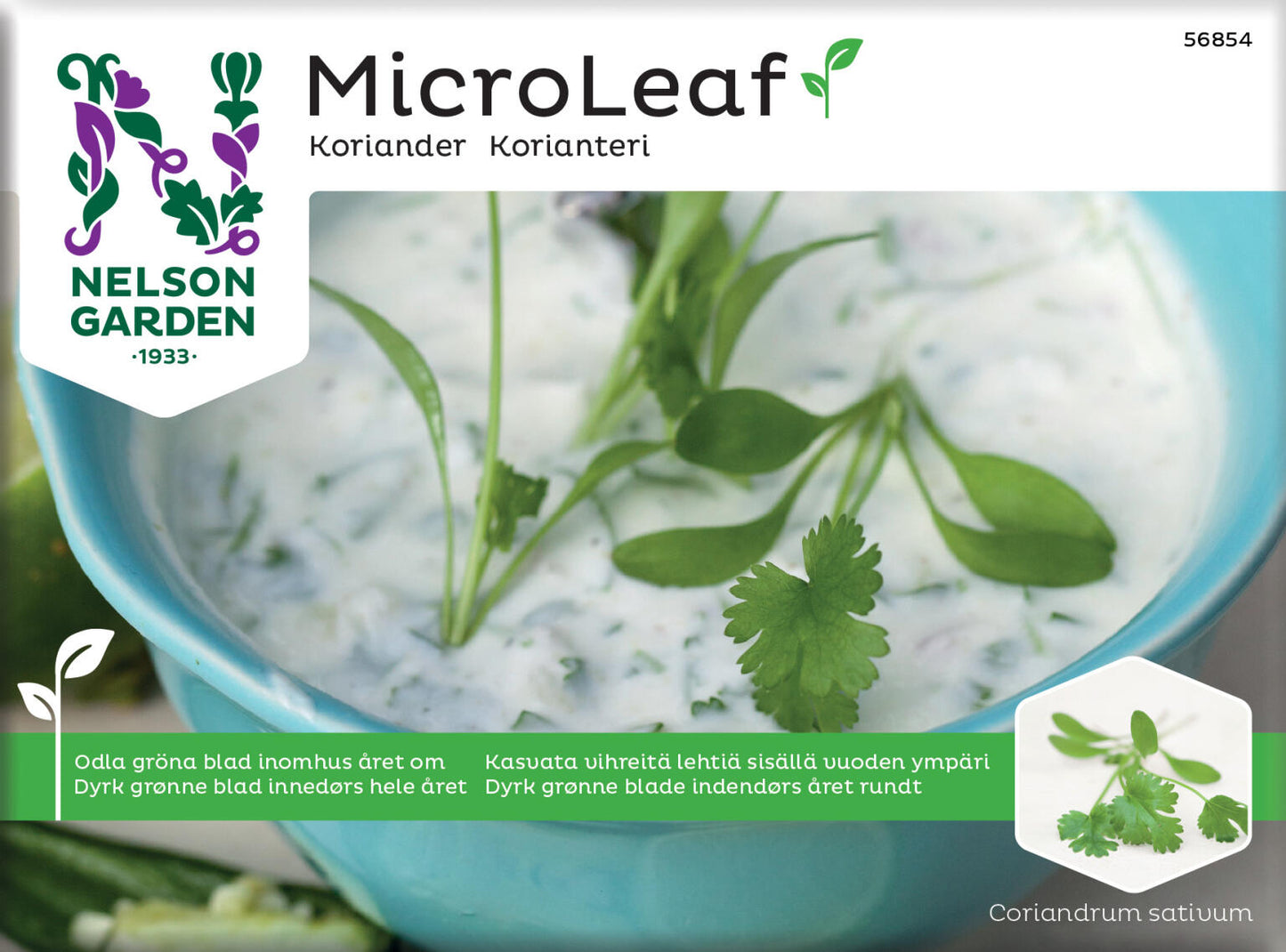 Micro Leaf, Koriander
