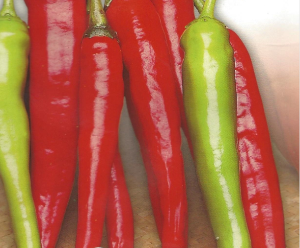 Cayenne, 10 frø