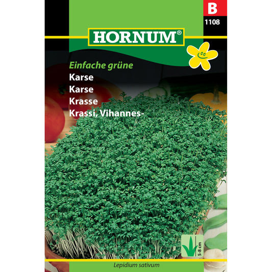 Karse Einfache grüne