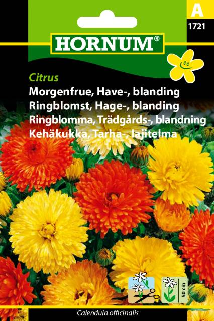 Morgenfrue Haveblanding Citrus