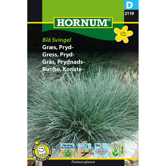 Blå Svingel Prydgræs