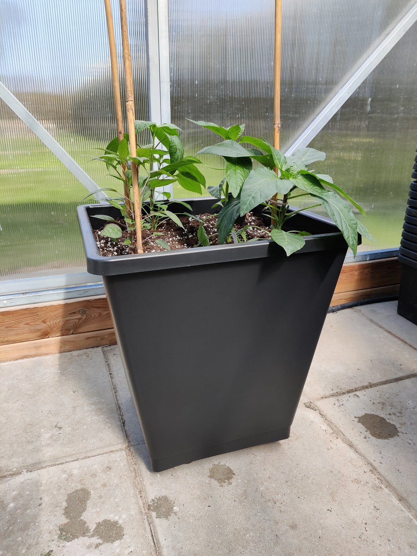 4 stk. ABC Planter 1, 25L selvvandingspotte