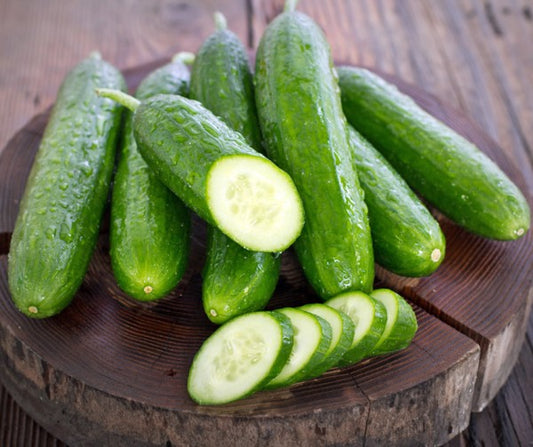 Skoleagurk Beth Alpha F1, 8 frø