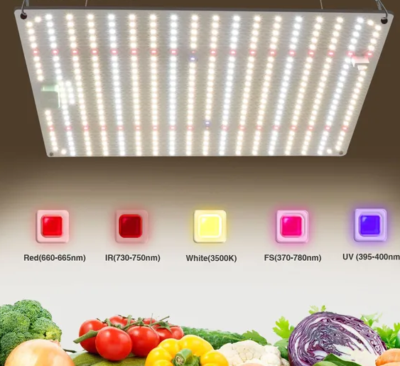 SunLight Quantum Board LED 100Watt (dæmpbar)