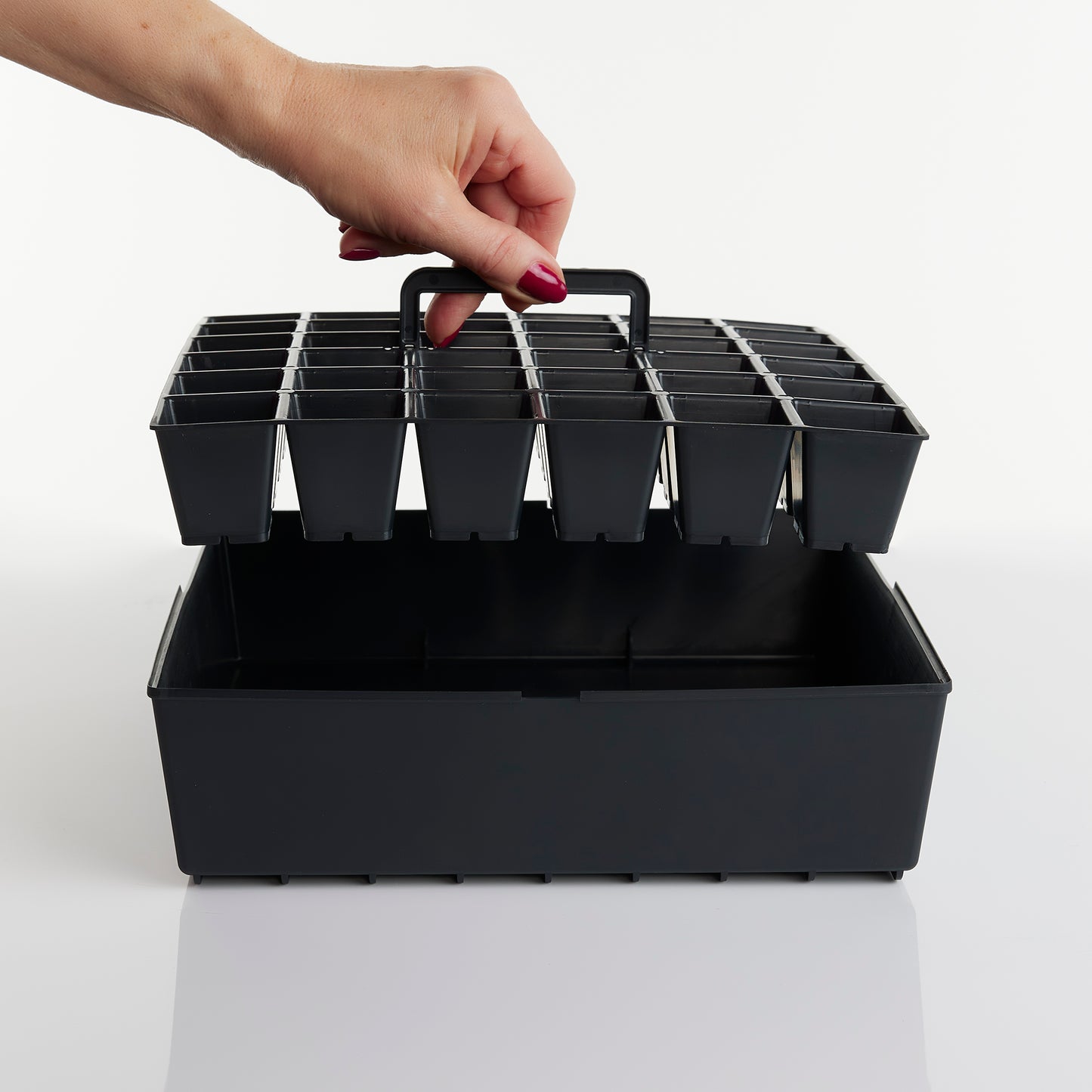 ABC Plant starter sæt