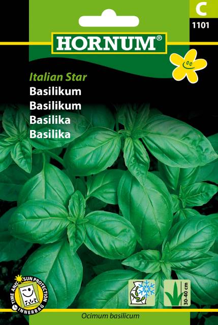 Basilikum Italian Star