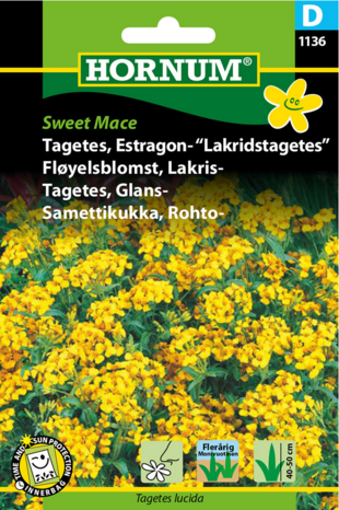Tagetes Estragon Lakridstagetes