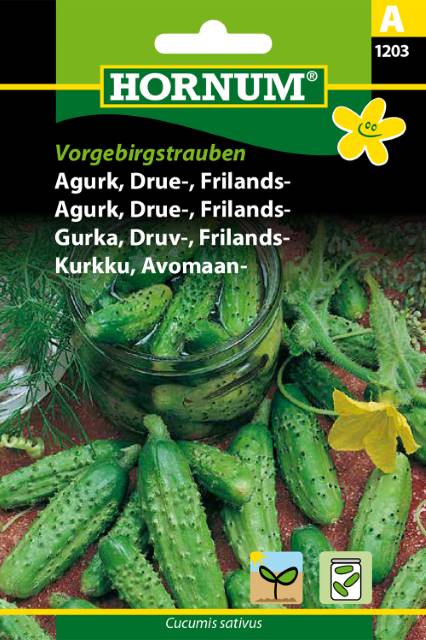 Agurk Drue Friland Vorgebirgstrauben