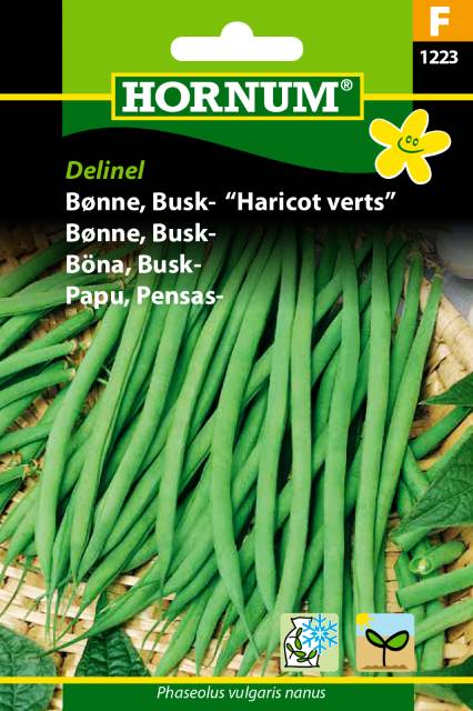 Bønne Busk Haricot verts