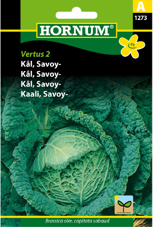 Kål Savoy Vertus 2