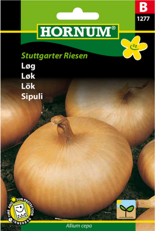 Løg Stuttgarter Riesen