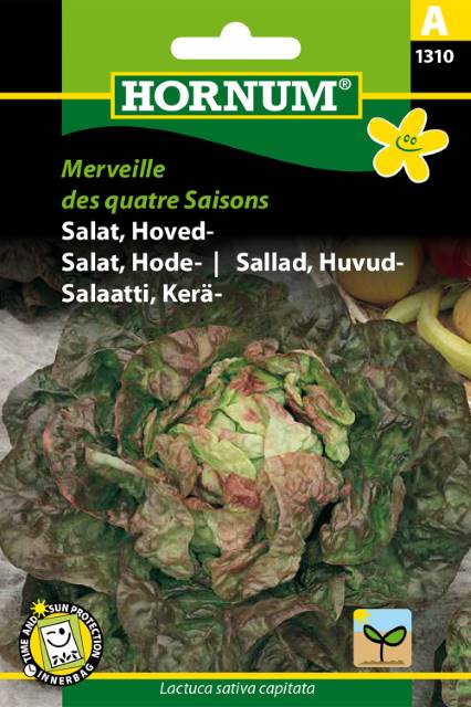 Salat Hoved Merveille des quatre Saisons