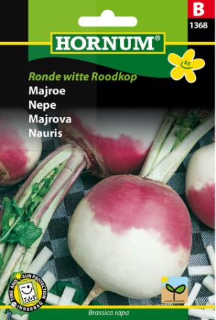 Majroe Ronde witte Roodkop