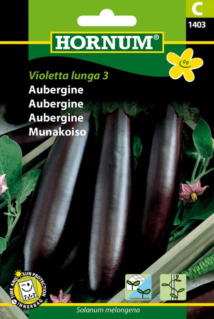 Aubergine Violette Lunga 3