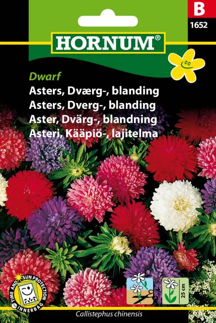 Asters Dværg blanding Dwarf