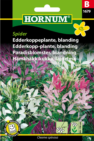 Edderkoppeplante blanding Spider