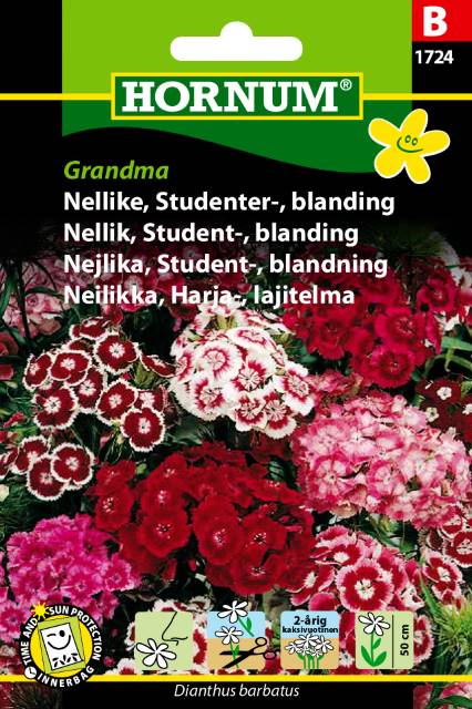 Nellike Studenter blanding Grandma