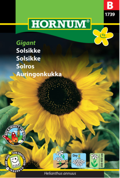 Solsikke Gigant