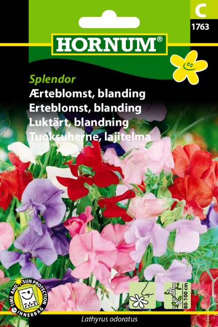 Ærteblomst blanding Splendor