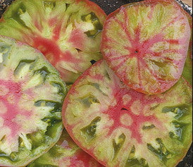 Ananas Noire, 10 frø