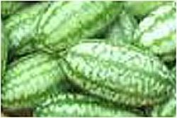 Jungleagurk, 10 frø