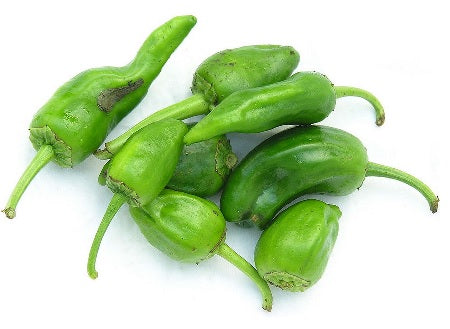 Piment de Padron, 10 frø